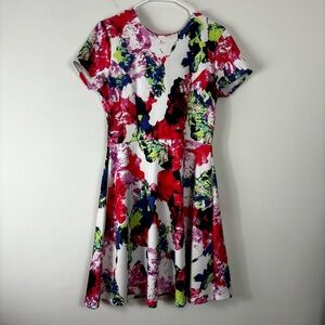 Milly by Design Nation Floral Dress Women’s 6 Fit and Flare Watercolor Cute